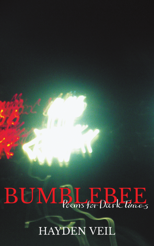 Book Cover: Bumblebee: Poems for Dark Times